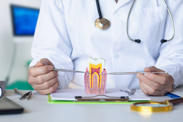 Best Emergency Care for Gum Disease in Woodville, MS